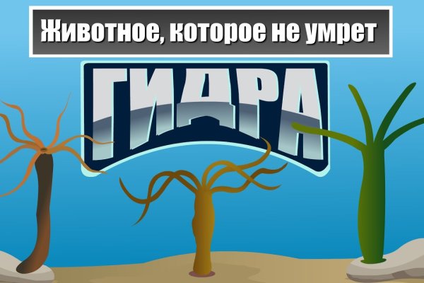 Кракен тор krakens13 at