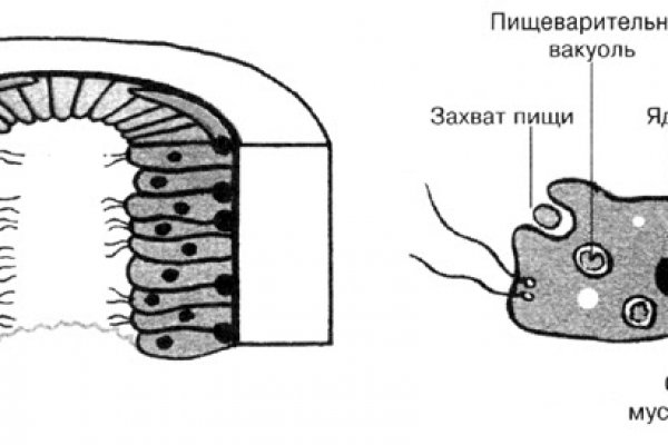 Kraken ссылка krakens13 at